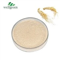 Ginseng por kivonat