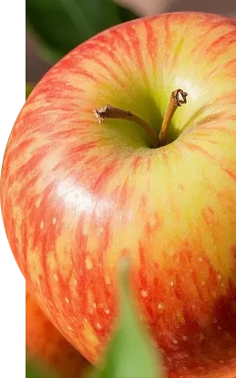 Organic